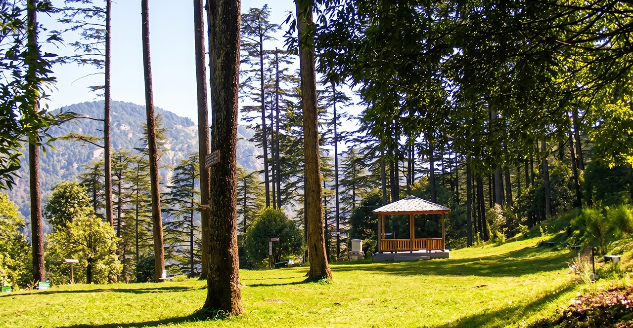 15 Offbeat Places Near Mussoorie You Should Explore