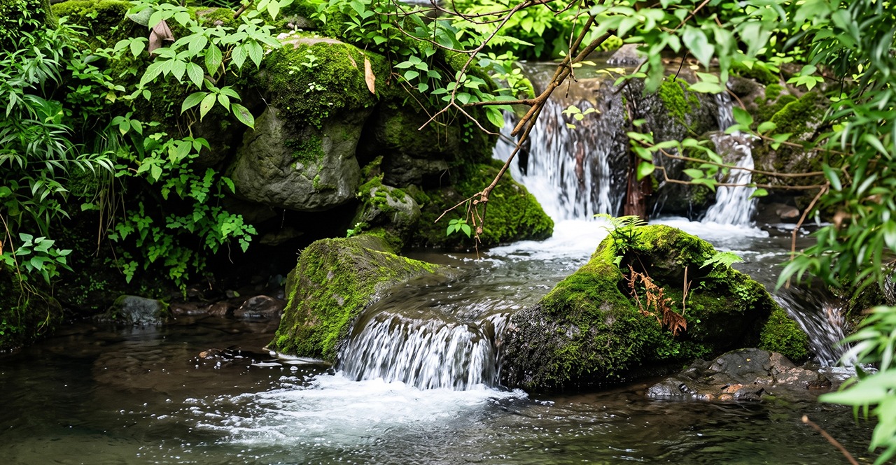 15 Offbeat Places Near Mussoorie You Should Explore