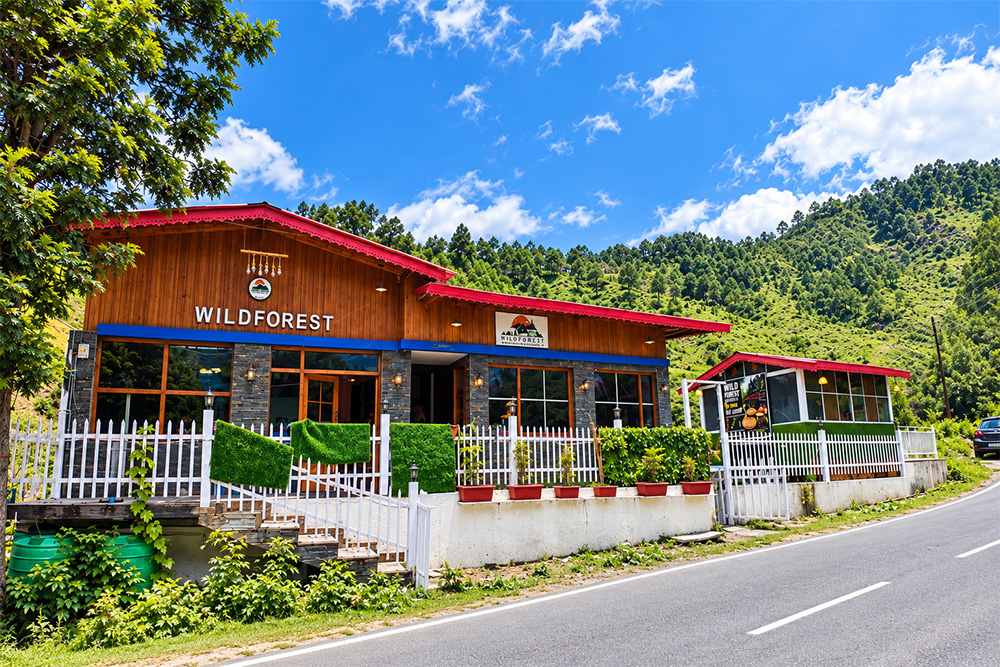 Wild Forest Villa