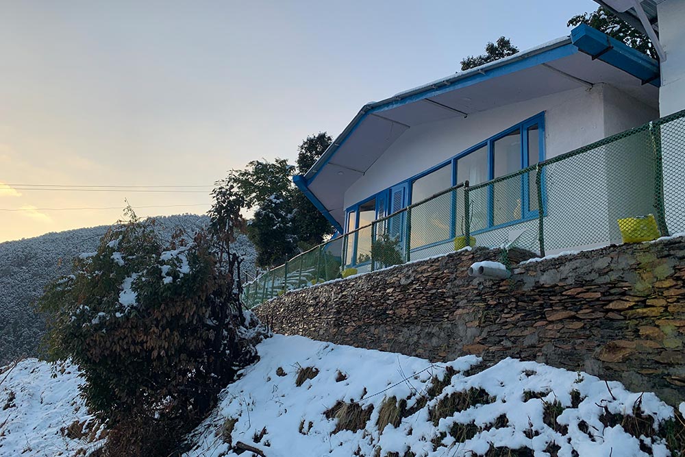 Gallery image