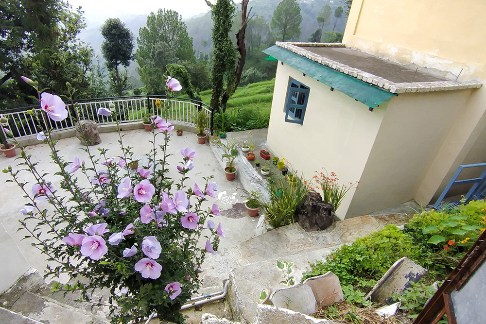 Himalaya View Homestay Ranikhet photo