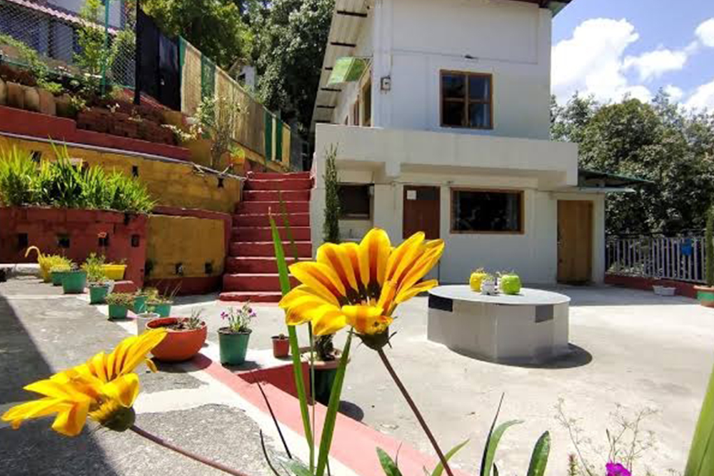 Gallery image