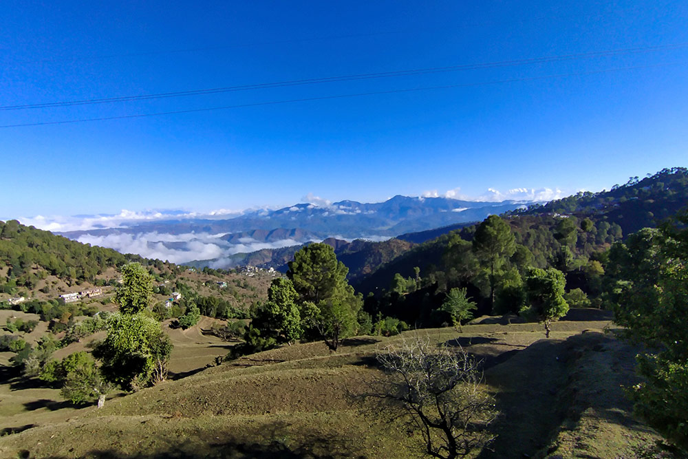 Himalaya View Homestay Ranikhet photo