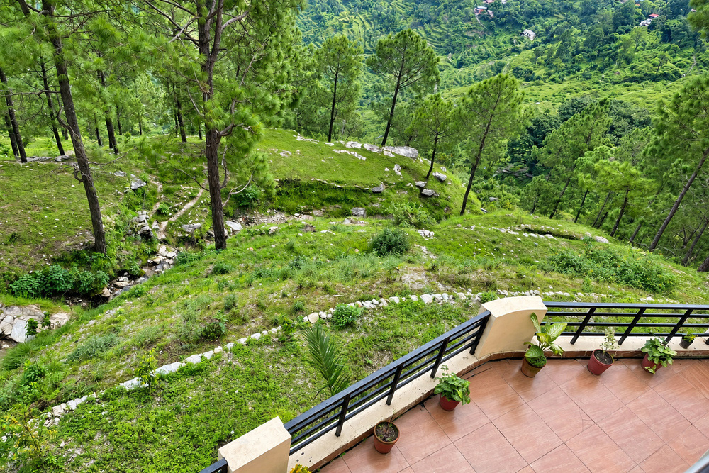 Evara  Homestay photo
