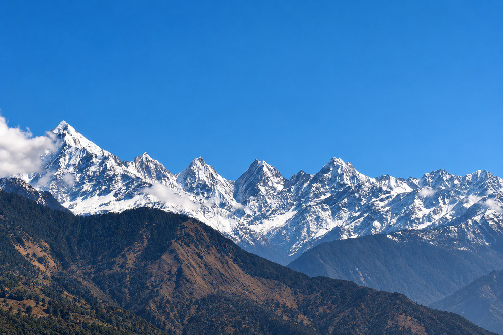 Mahakali Homestay photo