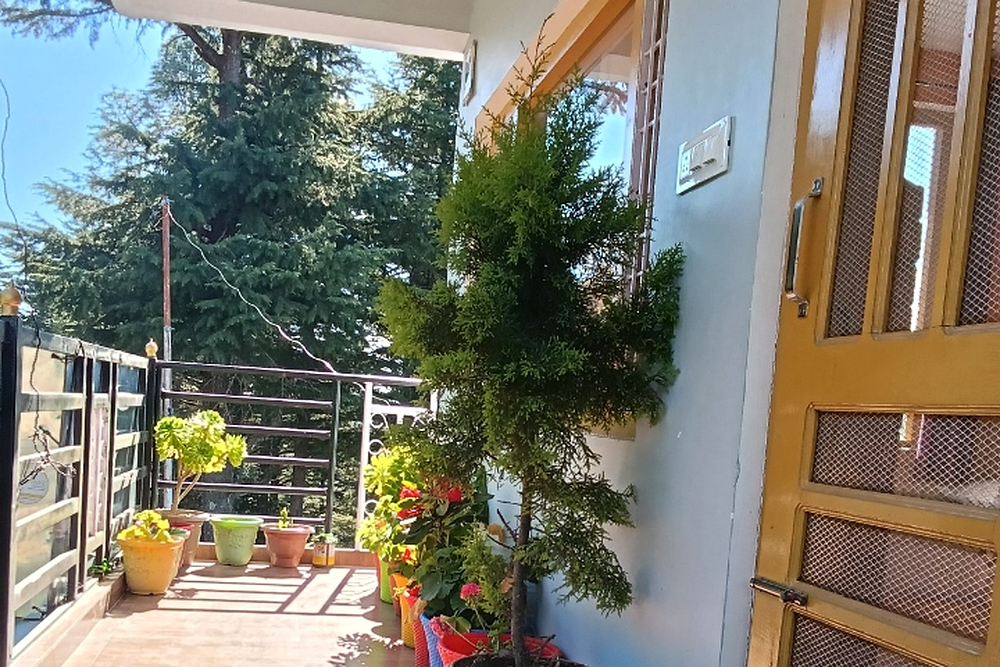 Rama Narayan Homestay Jageshwar photo