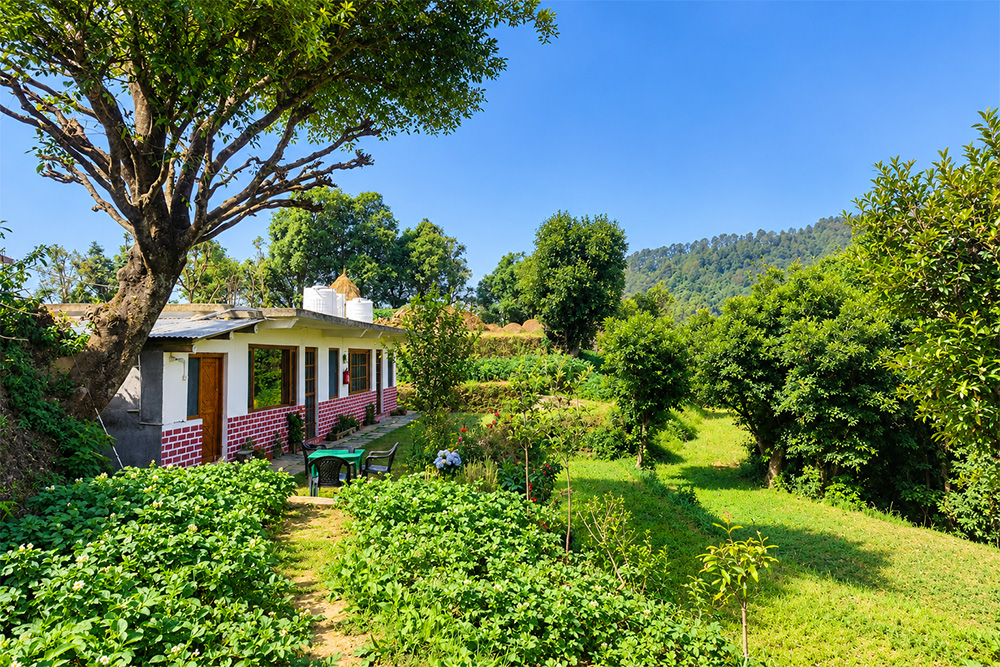 Mahadeva Homestay photo