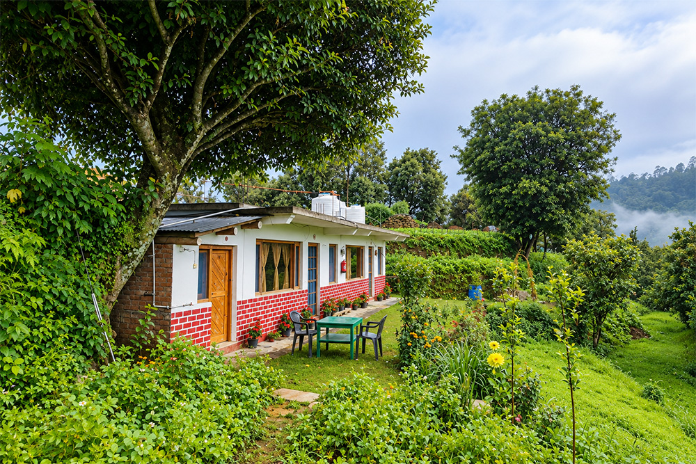 Mahadeva Homestay photo