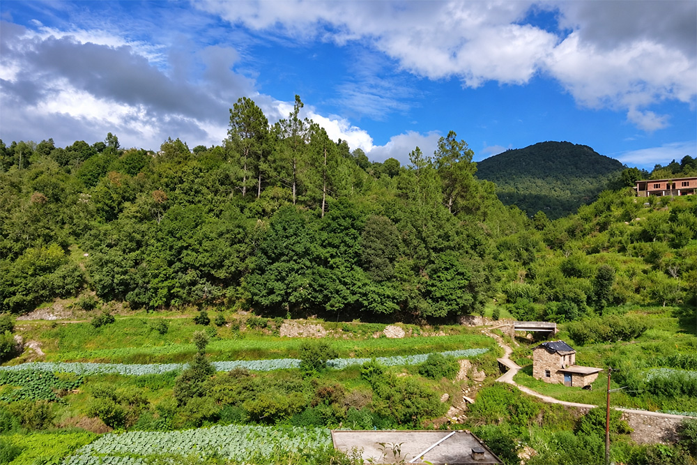 Ghughuti Home Stay photo