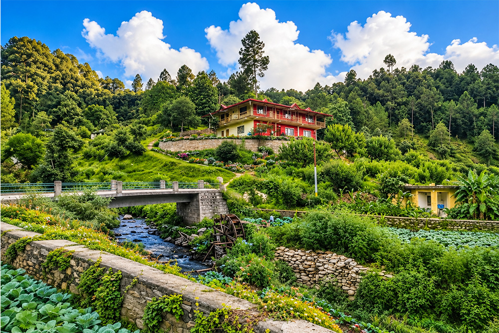 Ghughuti Home Stay photo